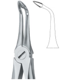 Roots Fragments, Deep Griping 146