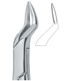 Incisors and Roots 65